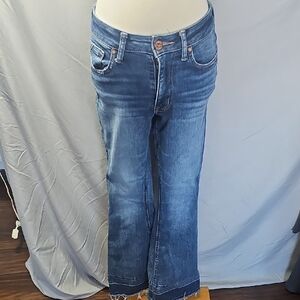 Classic Edgy Blue Flare Jeans